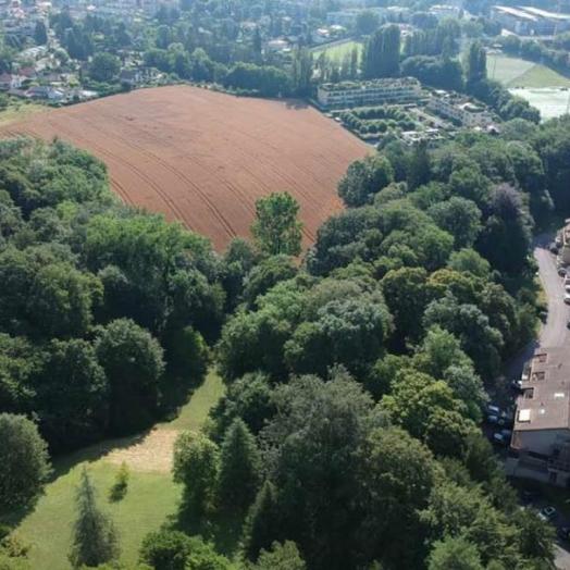 La Colline à Chêne-Bourg (GE)